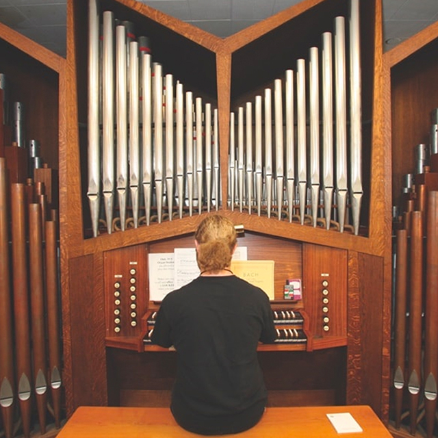 Organ