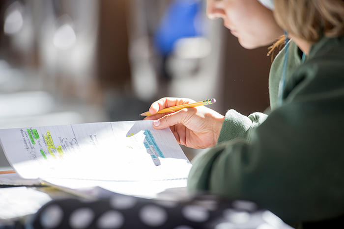 Student studying